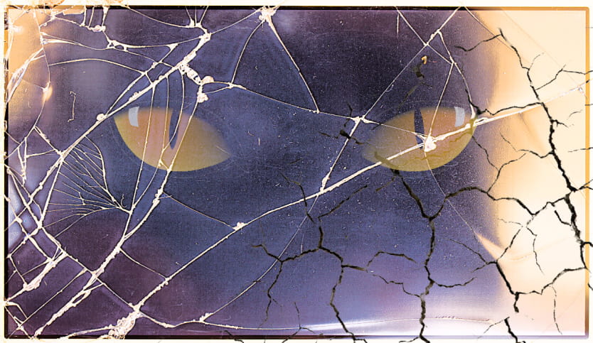 Townsend 25 floor edit copy 3